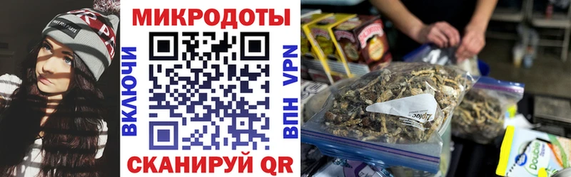 Псилоцибиновые грибы GOLDEN TEACHER  Купить  Красновишерск 
